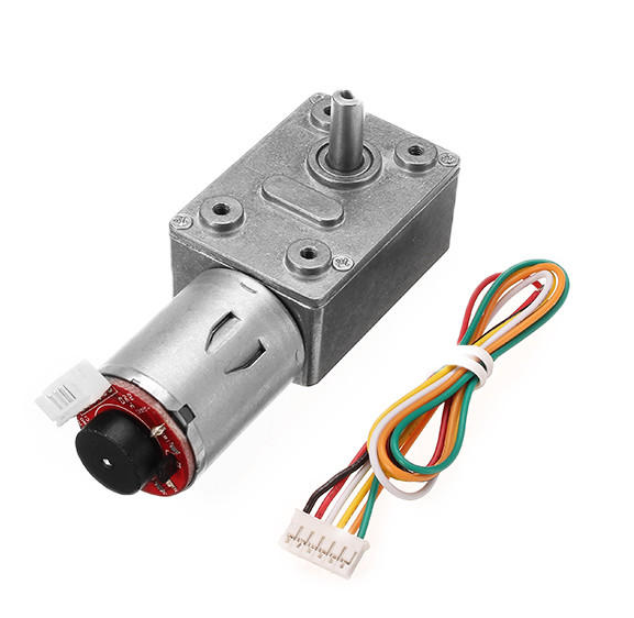 电机与蠕虫齿轮和直流编码器12V