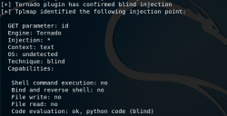 tplmap-confirmed-injection